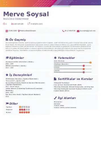 Yabancı Dil Öğretmeni Cv Örnekleri cv indir